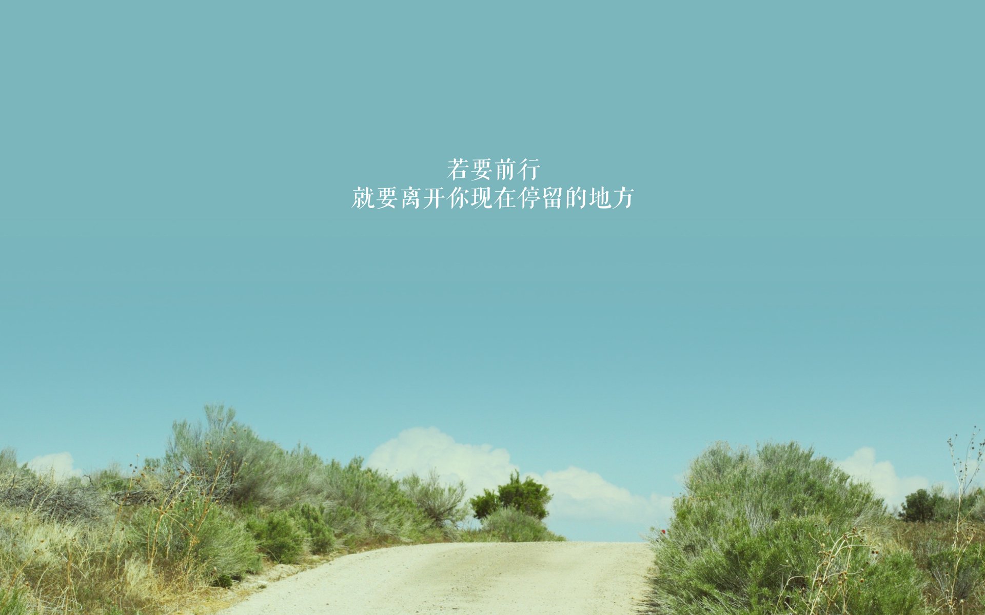 “赛场救援:危机中的英雄瞬间”,赛场急救