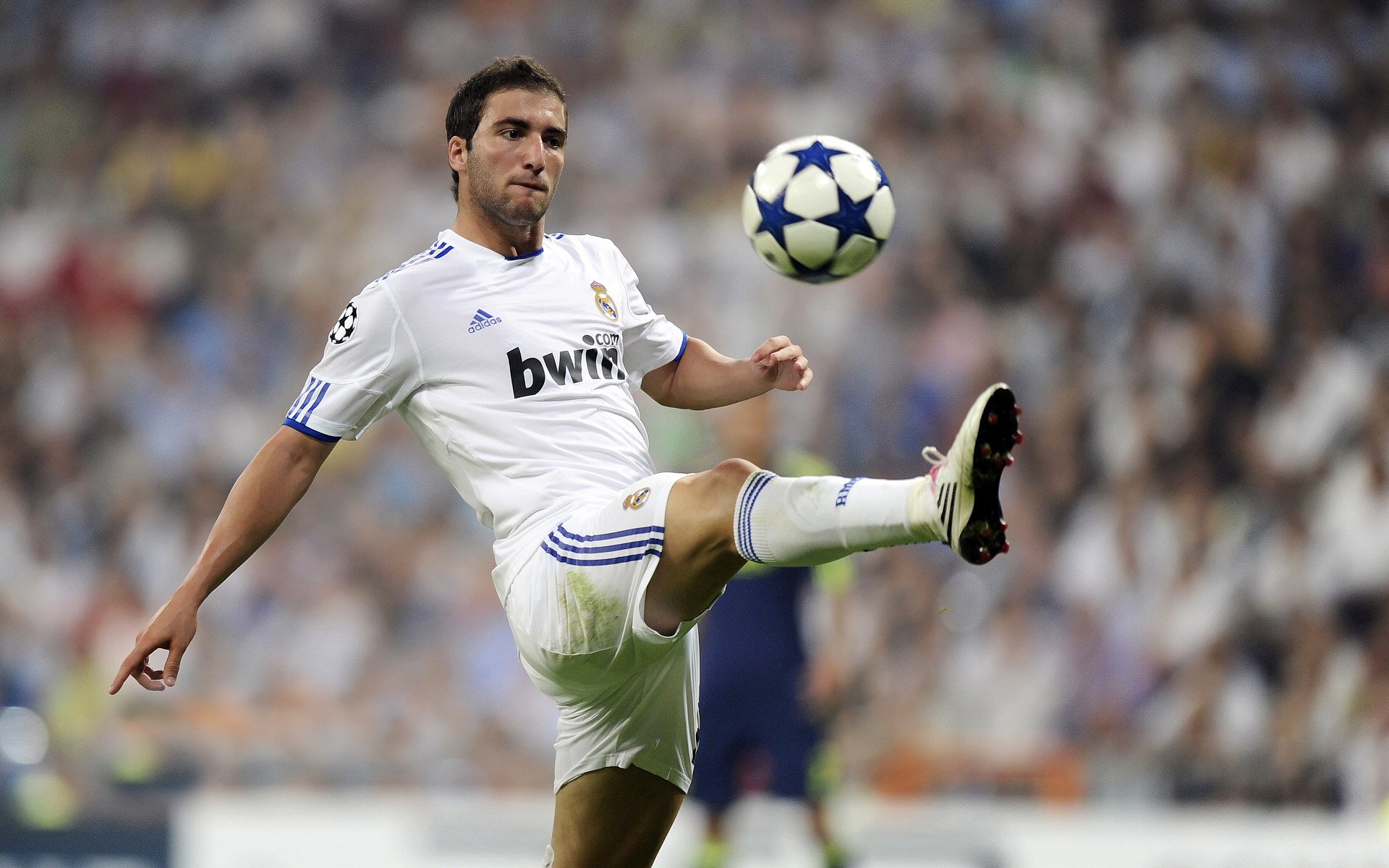 开云中国官网-格鲁塞技术动作精准无误，格鲁竞技-glubet